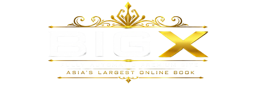 BigX Logo